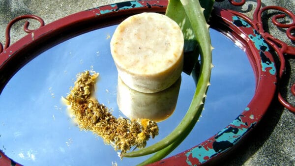 Shampoo Bar - Image 2