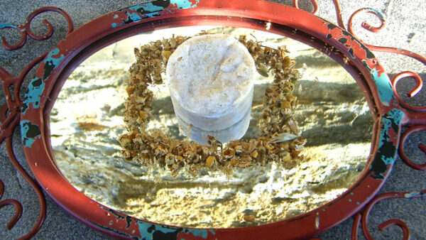 Shampoo Bar - Image 3