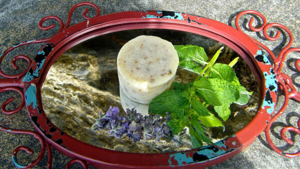 Shampoo Bar - Image 7