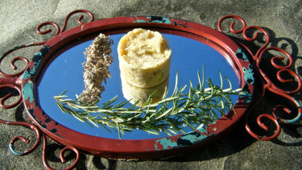 Shampoo Bar - Image 4